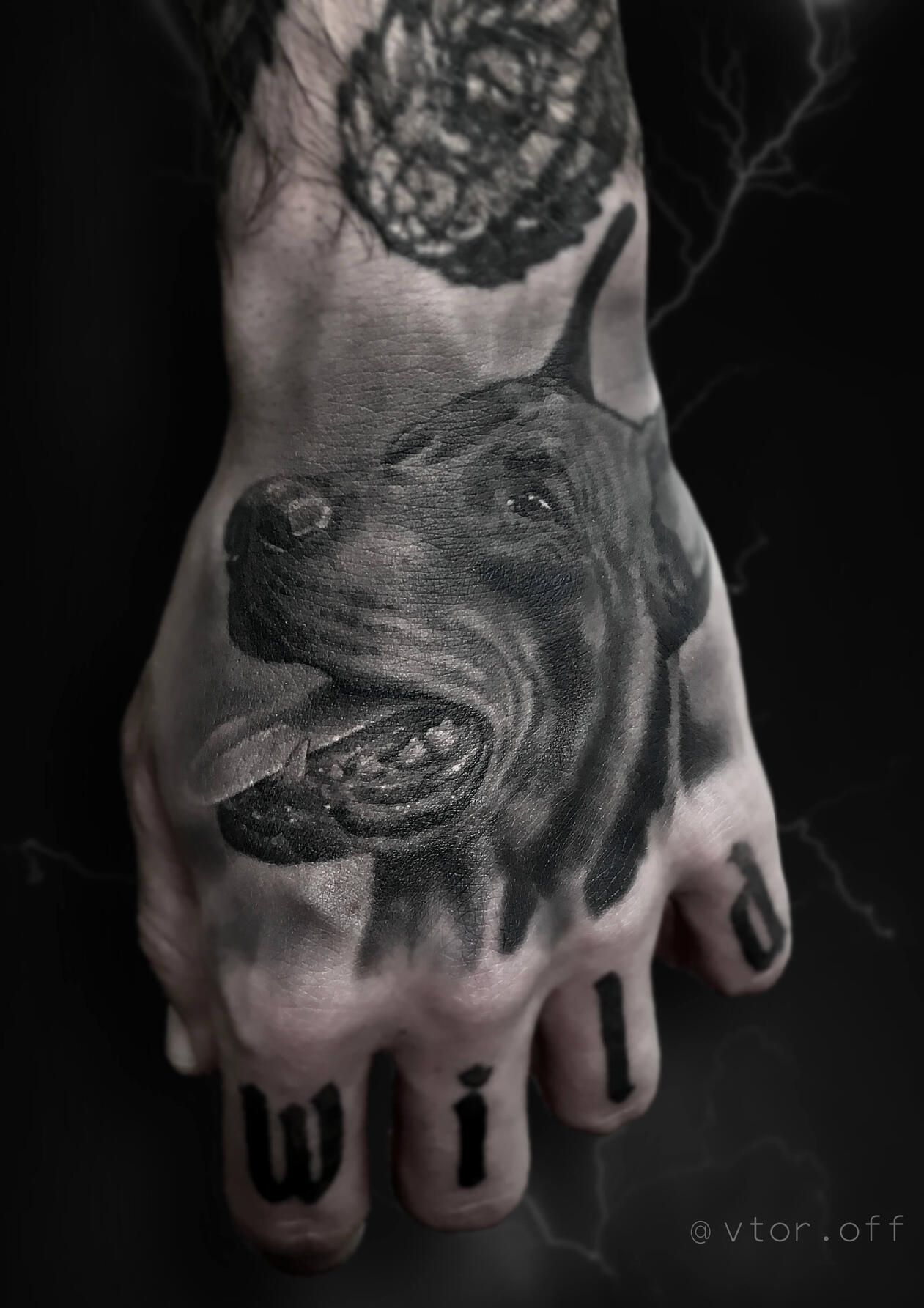 Untitled Realistic Doberman dog hand tattoo by Igor Vtoroff. Premium black and grey realism in Torrevieja, Alicante, Spain.