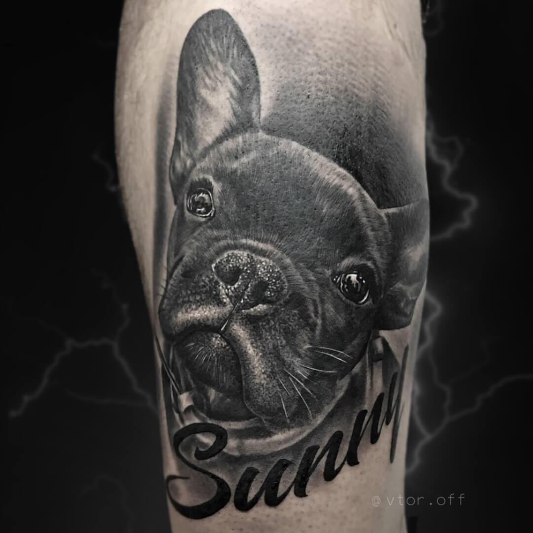 Untitled Detailed French Bulldog pet portrait tattoo with Sunny lettering done by Igor Vtoroff. Black and grey dog realism, Torrevieja, Alicante, Spain.