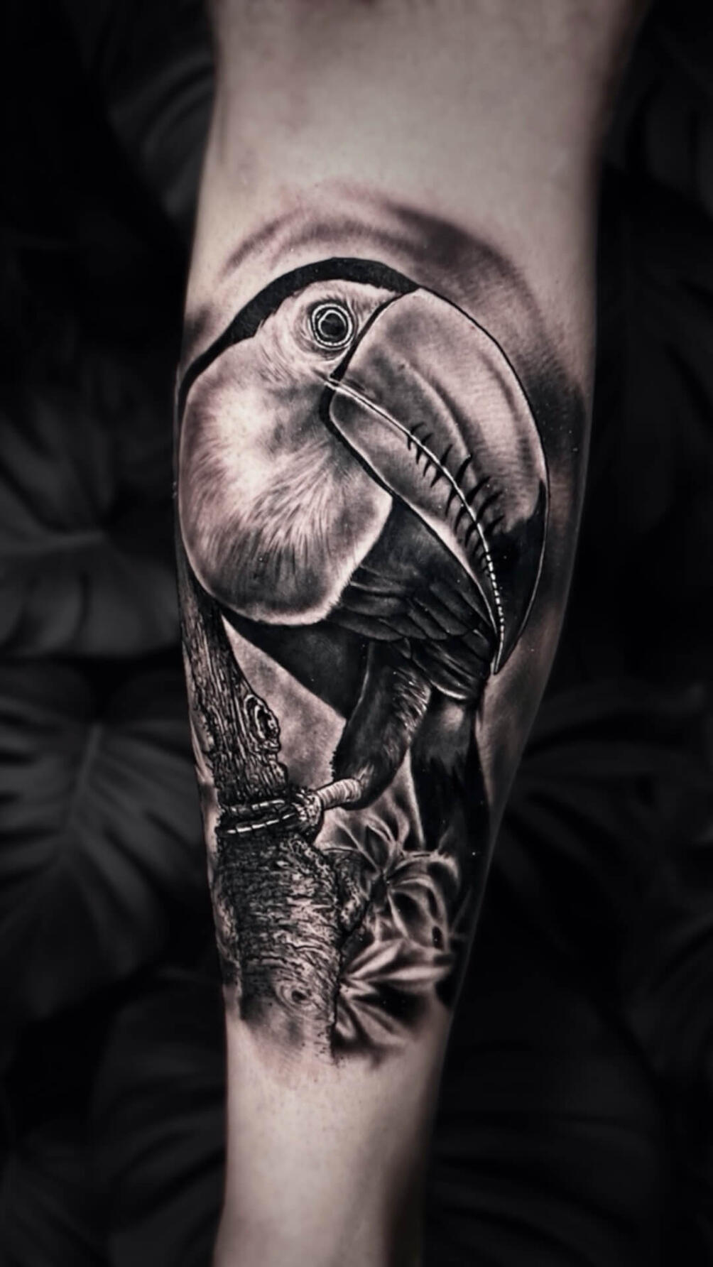 Untitled Igor Vtoroff | Realistic toucan bird tattoo on branch. Black and grey jungle animal realism, Torrevieja, Alicante, Spain.